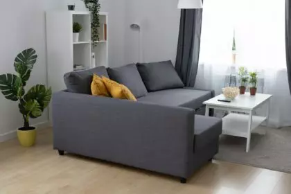 Modern living room design in scandinavian style with sofa and small table - interior and comfortable